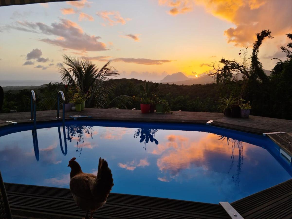 Chambre Chez L'Habitant Avec Piscine Privative Et Vue Panoramique Sur La Mer Des Caraibes Desmarinieres Eksteriør billede